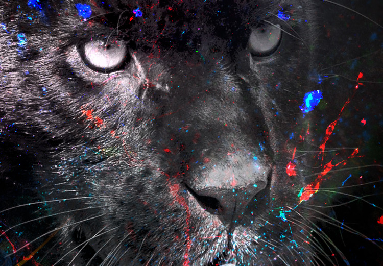 Poster Black Jaguar - animal among abstract colors on a dark background 131813 additionalImage 12