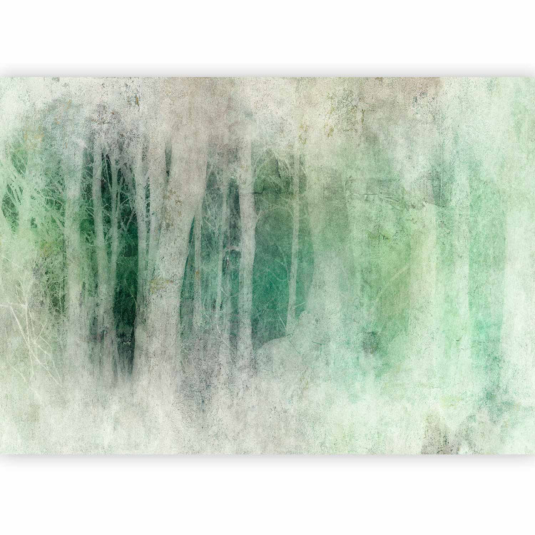 Wall Mural Night in the Forest - Bright Tree Trunks and Dark Depth - Greenery 148813 additionalImage 1