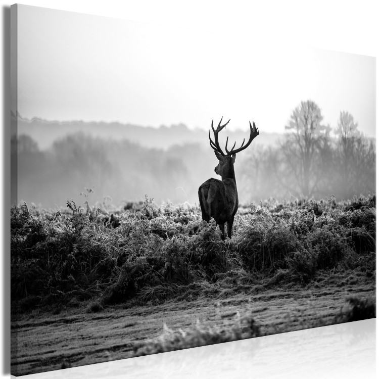 Large canvas print Deer in the Wild [Large Format] 149113 additionalImage 3
