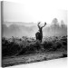 Large canvas print Deer in the Wild [Large Format] 149113 additionalThumb 3