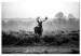 Large canvas print Deer in the Wild [Large Format] 149113
