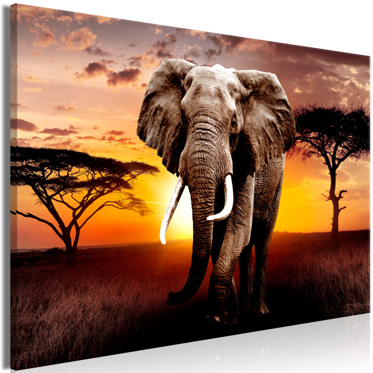Large canvas print Sunset on the Savanna [Large Format] 150813 additionalImage 3