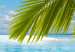 Canvas Paradise island 50013 additionalThumb 5