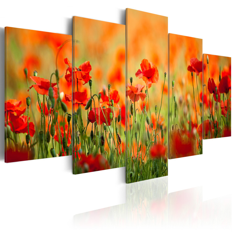 Canvas Print Poppies in vivid colors 58613 additionalImage 2