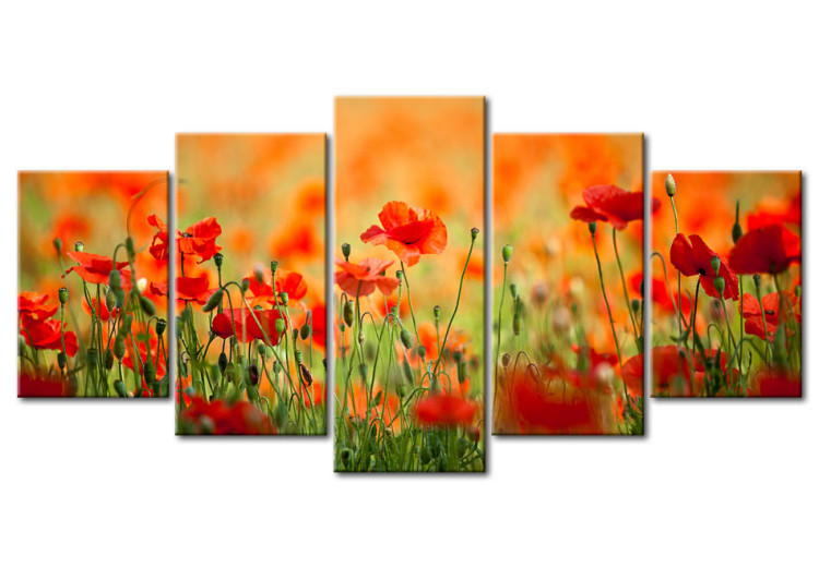 Canvas Print Poppies in vivid colors 58613