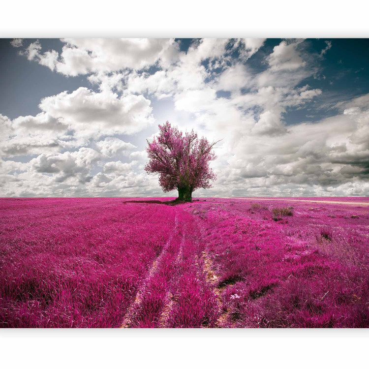 Wall Mural Magenta meadow 60013 additionalImage 5