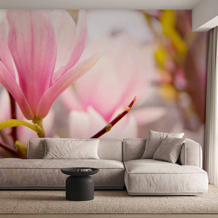 Wall Mural Blooming Magnolia - Plant Motif with a Close-up of a Magnolia Flower 60413