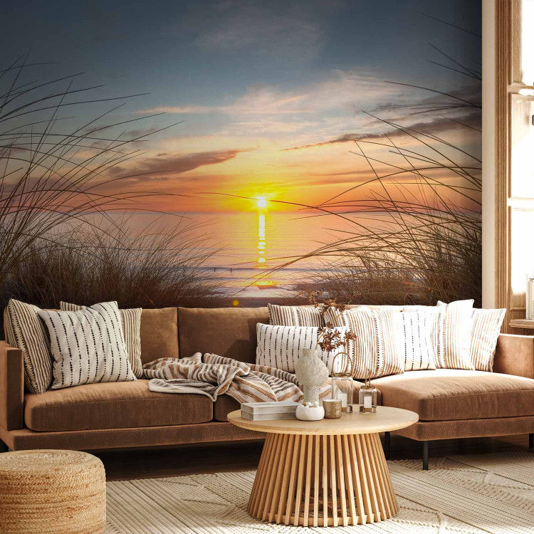Wall Mural Coastal Landscape - Sunset over the sea against tall grass 61713