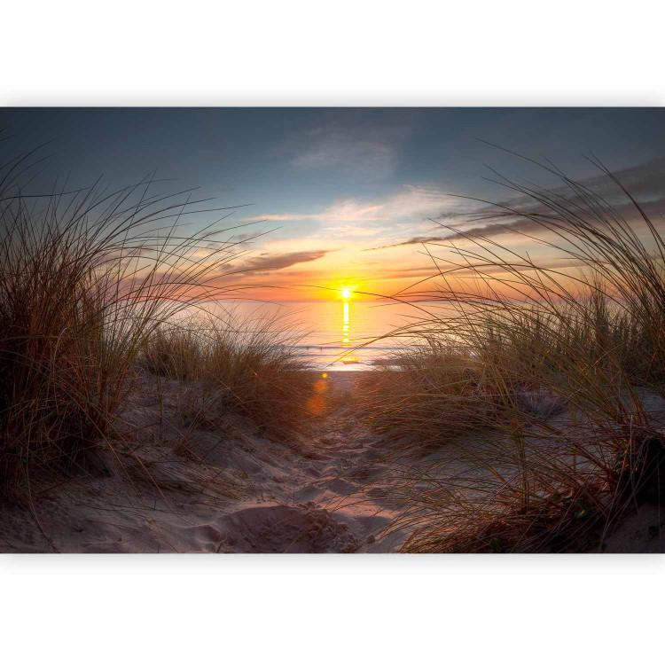 Wall Mural Coastal Landscape - Sunset over the sea against tall grass 61713 additionalImage 5