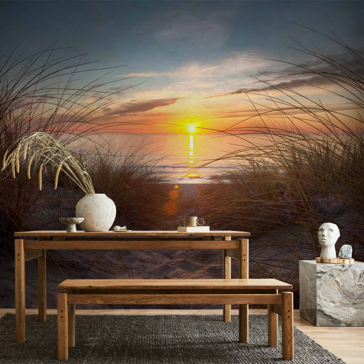 Wall Mural Coastal Landscape - Sunset over the sea against tall grass 61713 additionalImage 4