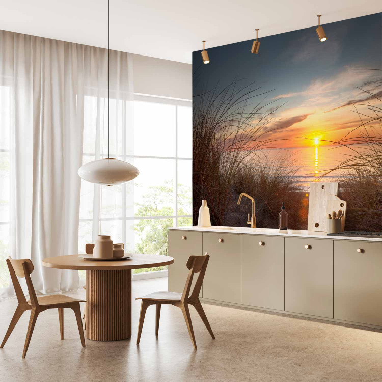 Wall Mural Coastal Landscape - Sunset over the sea against tall grass 61713 additionalImage 7