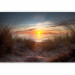 Wall Mural Coastal Landscape - Sunset over the sea against tall grass 61713 additionalThumb 5