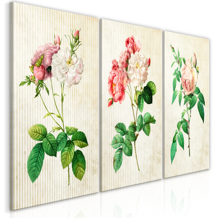 Canvas Floral Trio (Collection) 117323 additionalImage 2