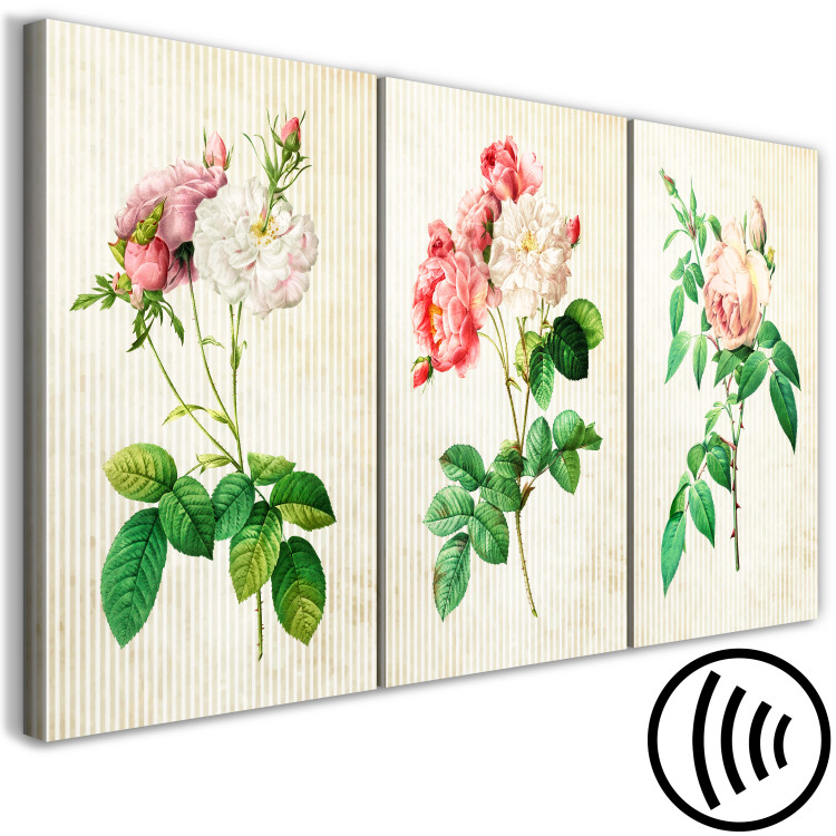 Canvas Floral Trio (Collection) 117323 additionalImage 6
