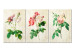 Canvas Floral Trio (Collection) 117323