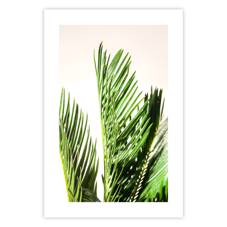 Poster Plant Detail - botanical composition with green leaves on a light background 119023 additionalImage 25