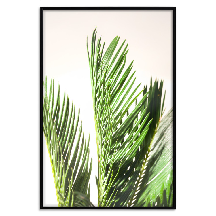 Poster Plant Detail - botanical composition with green leaves on a light background 119023 additionalImage 24