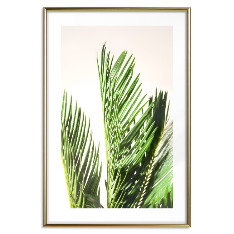Poster Plant Detail - botanical composition with green leaves on a light background 119023 additionalImage 14