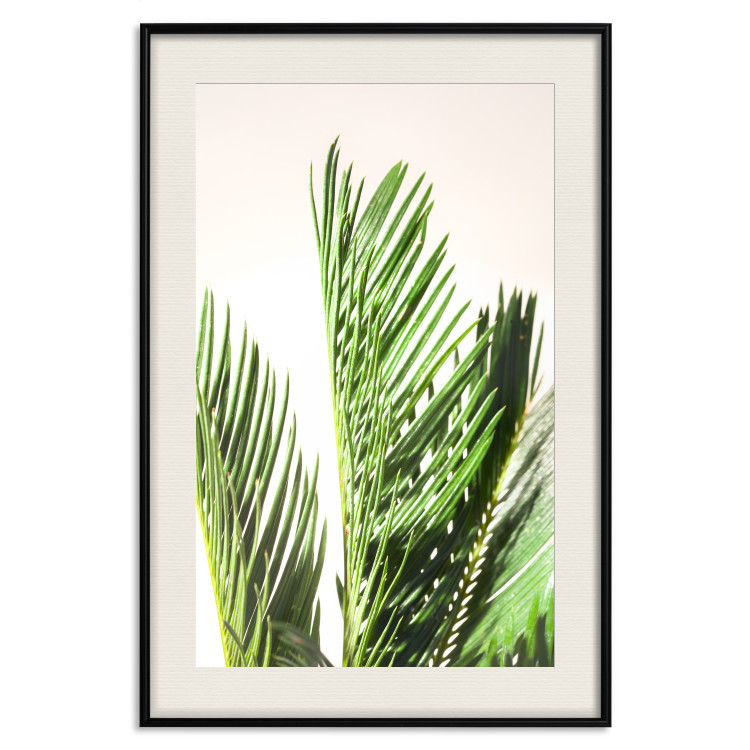 Poster Plant Detail - botanical composition with green leaves on a light background 119023 additionalImage 18