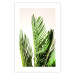 Poster Plant Detail - botanical composition with green leaves on a light background 119023 additionalThumb 25