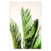 Poster Plant Detail - botanical composition with green leaves on a light background 119023