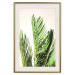 Poster Plant Detail - botanical composition with green leaves on a light background 119023 additionalThumb 19