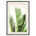 Poster Plant Detail - botanical composition with green leaves on a light background 119023 additionalThumb 18