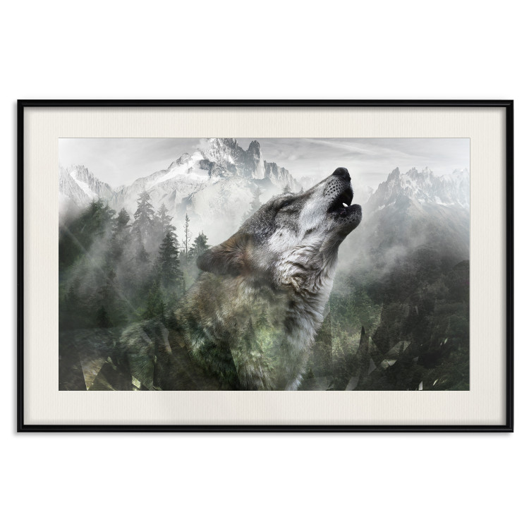 Wall Poster Howling Wolf - wild animal against a forest landscape and high mountains 126023 additionalImage 24