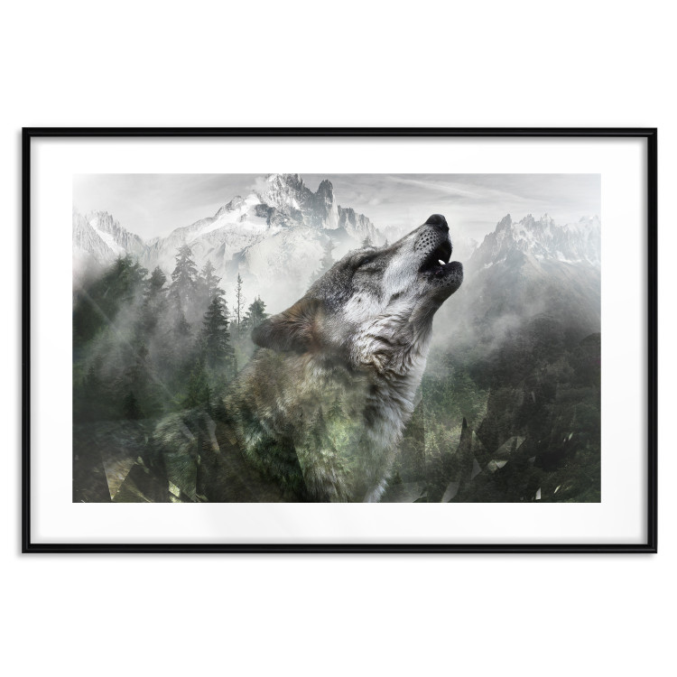 Wall Poster Howling Wolf - wild animal against a forest landscape and high mountains 126023 additionalImage 25