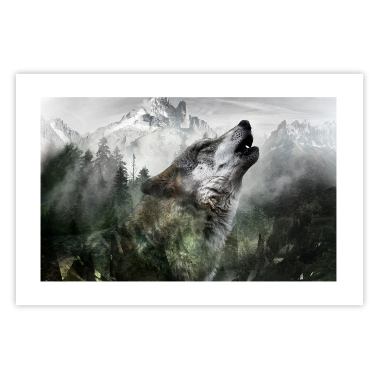 Wall Poster Howling Wolf - wild animal against a forest landscape and high mountains 126023 additionalImage 18
