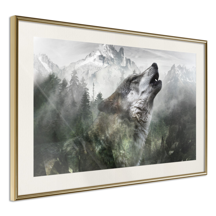 Wall Poster Howling Wolf - wild animal against a forest landscape and high mountains 126023 additionalImage 2