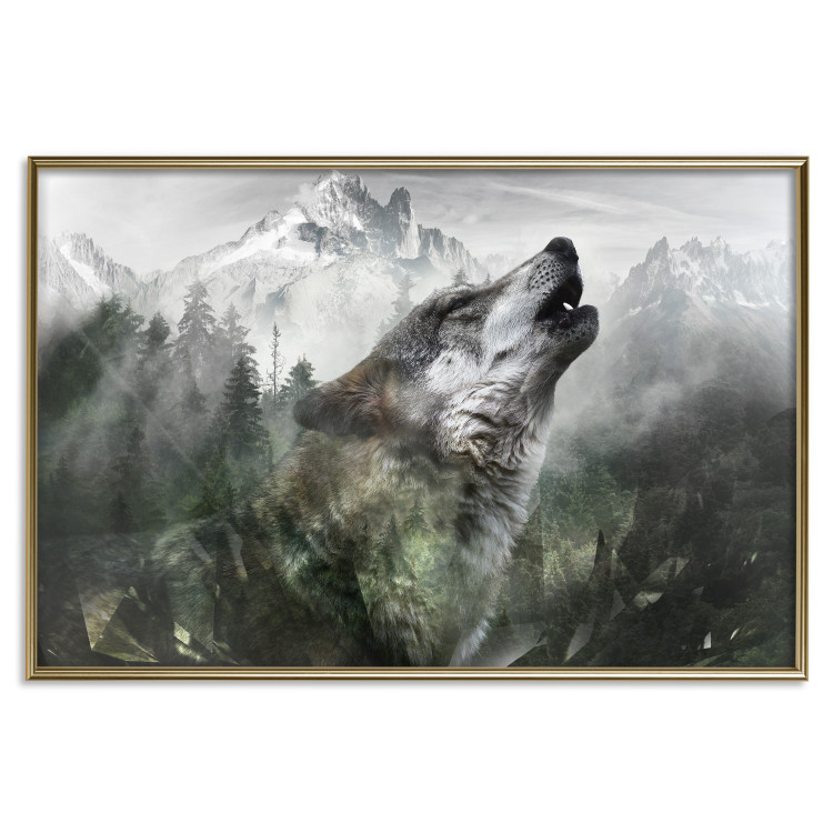 Wall Poster Howling Wolf - wild animal against a forest landscape and high mountains 126023 additionalImage 26