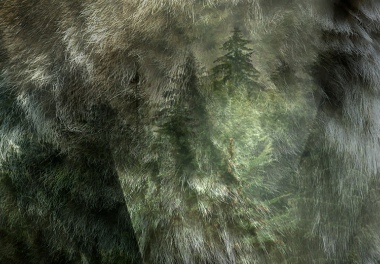 Wall Poster Howling Wolf - wild animal against a forest landscape and high mountains 126023 additionalImage 8