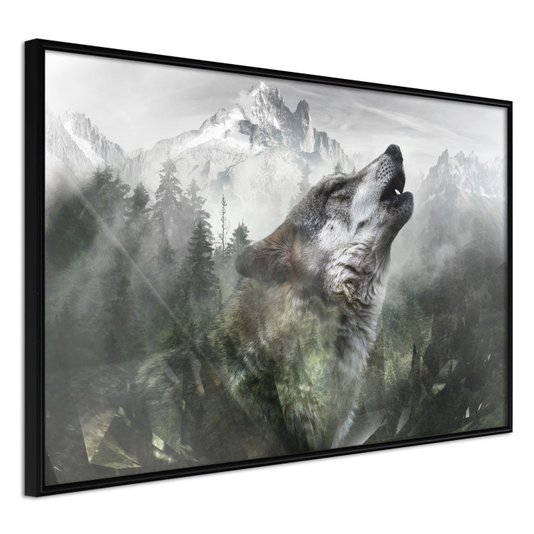 Wall Poster Howling Wolf - wild animal against a forest landscape and high mountains 126023 additionalImage 10