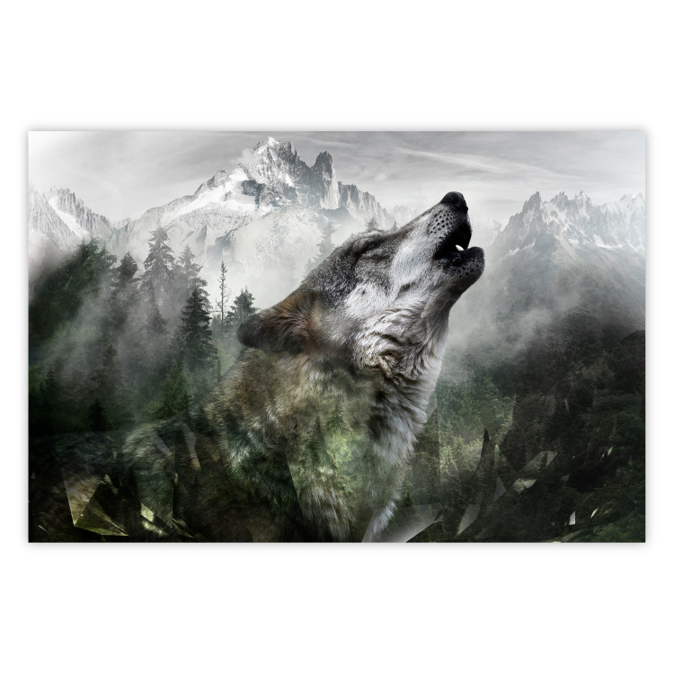 Wall Poster Howling Wolf - wild animal against a forest landscape and high mountains 126023