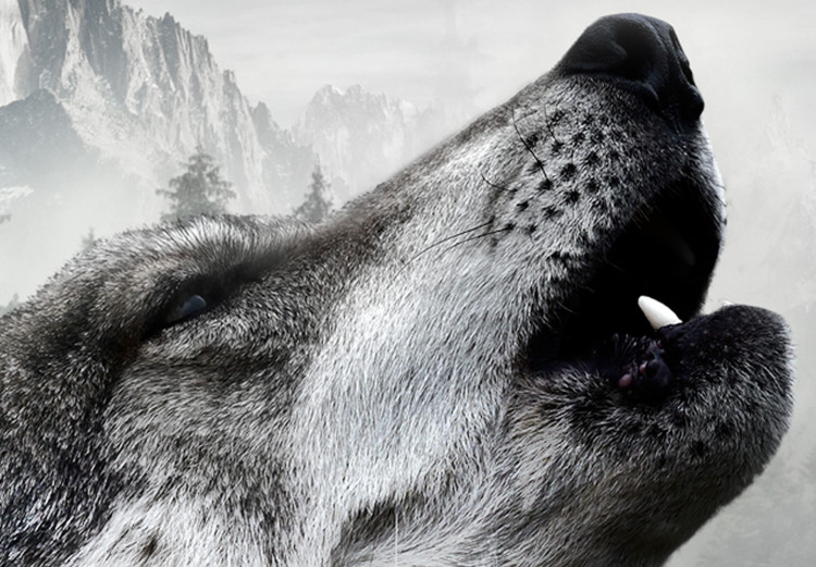 Wall Poster Howling Wolf - wild animal against a forest landscape and high mountains 126023 additionalImage 11
