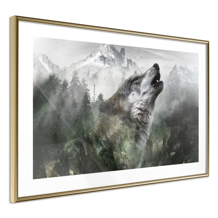 Wall Poster Howling Wolf - wild animal against a forest landscape and high mountains 126023 additionalImage 6