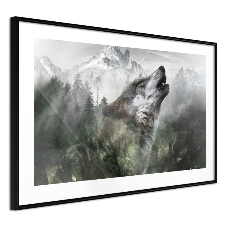 Wall Poster Howling Wolf - wild animal against a forest landscape and high mountains 126023 additionalImage 11