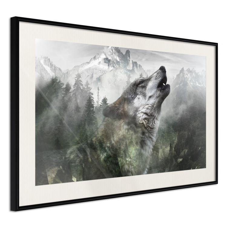 Wall Poster Howling Wolf - wild animal against a forest landscape and high mountains 126023 additionalImage 3