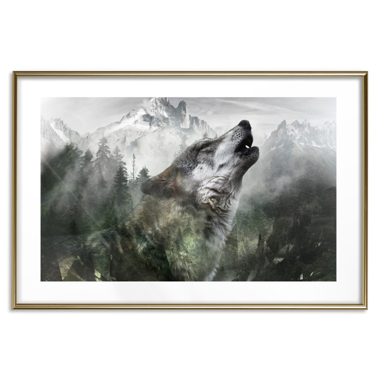 Wall Poster Howling Wolf - wild animal against a forest landscape and high mountains 126023 additionalImage 27