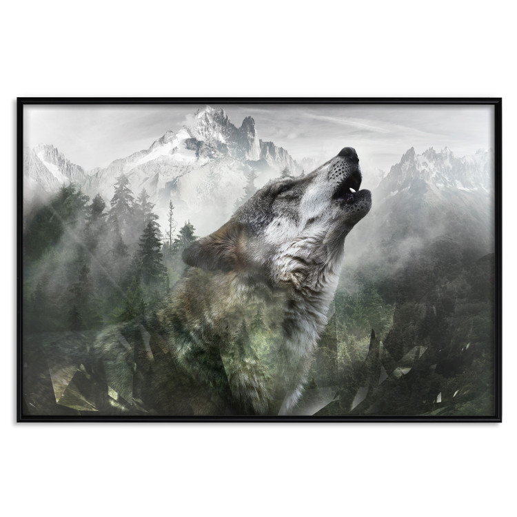 Wall Poster Howling Wolf - wild animal against a forest landscape and high mountains 126023 additionalImage 16