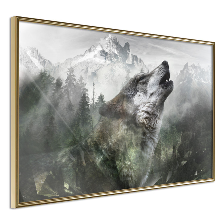 Wall Poster Howling Wolf - wild animal against a forest landscape and high mountains 126023 additionalImage 12