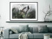 Wall Poster Howling Wolf - wild animal against a forest landscape and high mountains 126023 additionalThumb 4