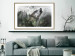 Wall Poster Howling Wolf - wild animal against a forest landscape and high mountains 126023 additionalThumb 15