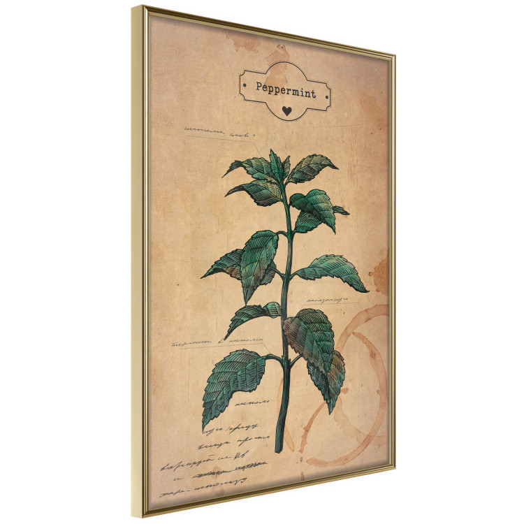 Wall Poster Mint Fantasy - composition with green plant and sheet of paper in background 129423 additionalImage 12
