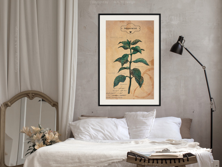 Wall Poster Mint Fantasy - composition with green plant and sheet of paper in background 129423 additionalImage 23
