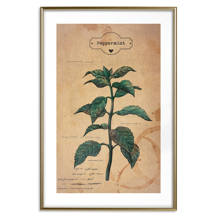 Wall Poster Mint Fantasy - composition with green plant and sheet of paper in background 129423 additionalImage 26