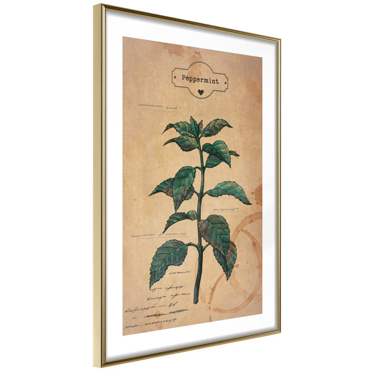 Wall Poster Mint Fantasy - composition with green plant and sheet of paper in background 129423 additionalImage 7