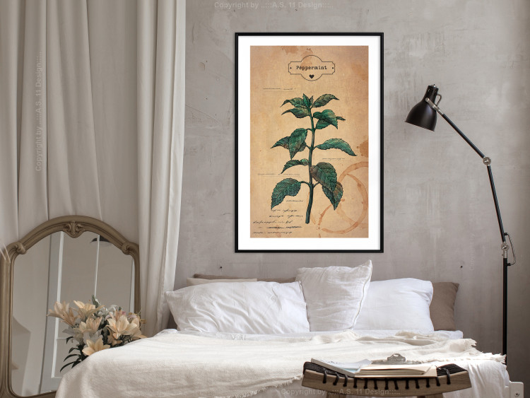 Wall Poster Mint Fantasy - composition with green plant and sheet of paper in background 129423 additionalImage 18