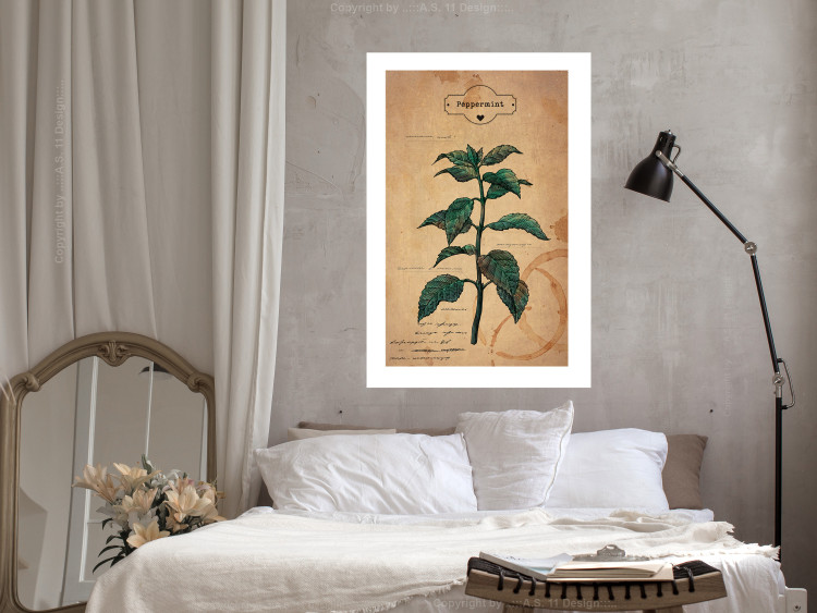 Wall Poster Mint Fantasy - composition with green plant and sheet of paper in background 129423 additionalImage 3